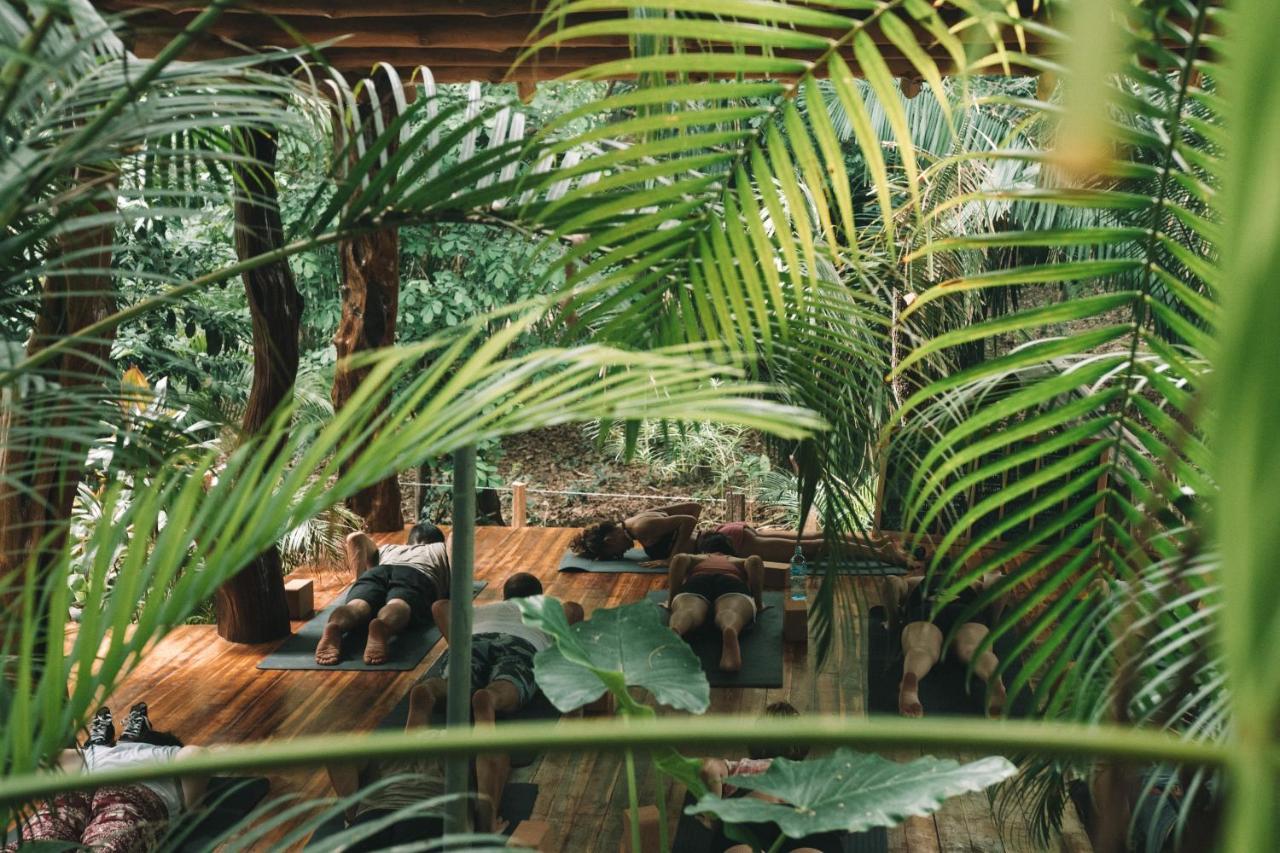 Hotel Guiones Nosara Εξωτερικό φωτογραφία